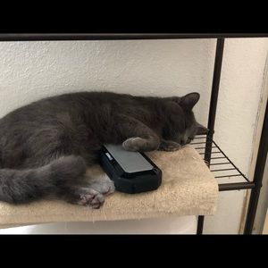 Meet your Posher, Gaby